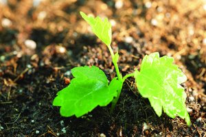 电脑配置新游戏首发优化